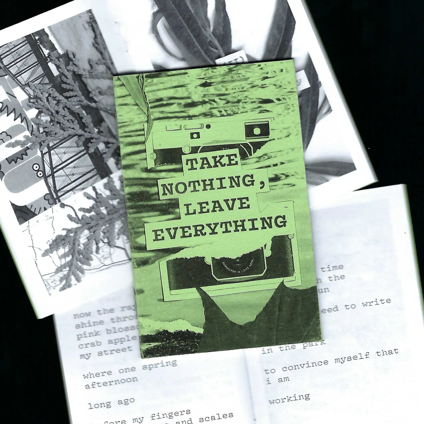 Take Nothing, Leave Everything